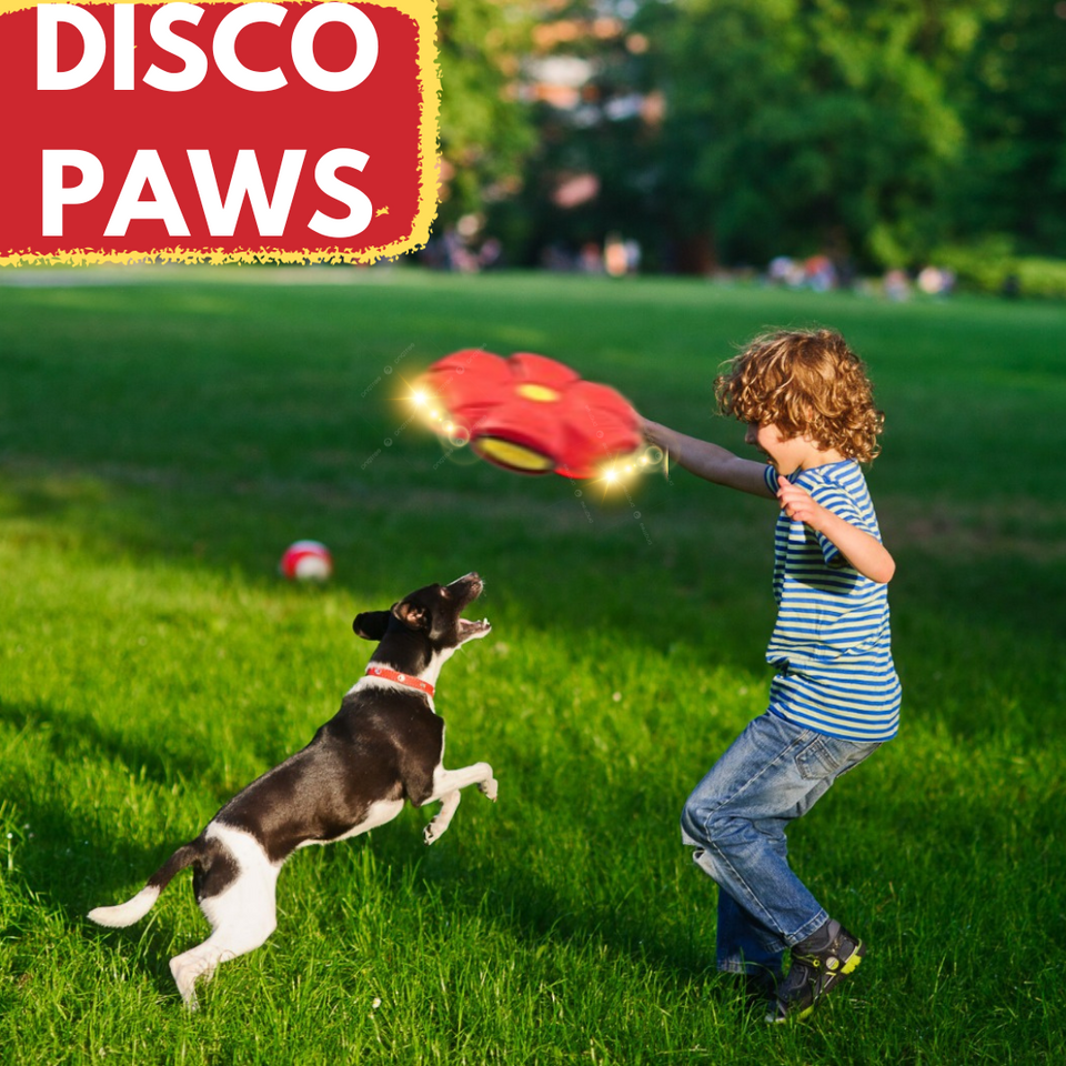 DISCO PAWS - PELOTA PARA MASCOTAS