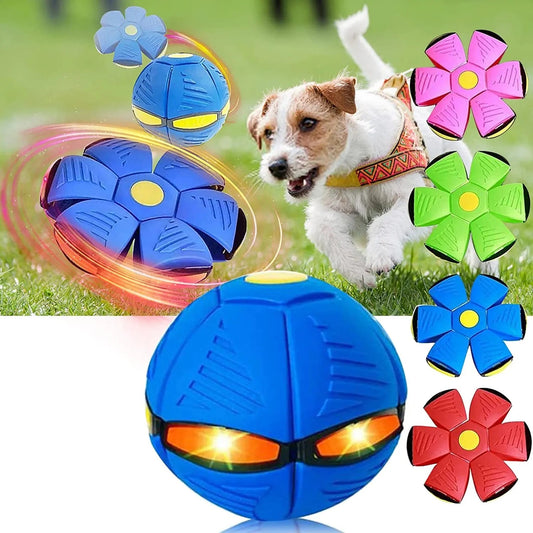 DISCO PAWS - PELOTA PARA MASCOTAS